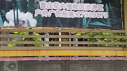 运河文化旅游区第 1 张图片
