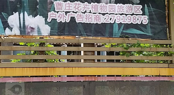 运河文化旅游区