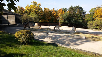 Nature Park Draháň-Troja