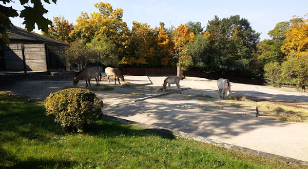 Nature Park Draháň-Troja