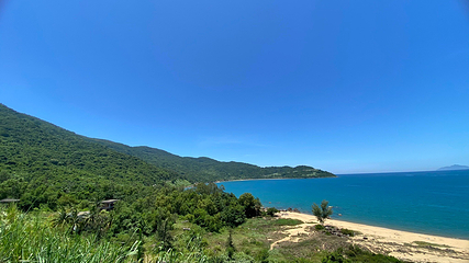 山茶半岛第 11 张图片
