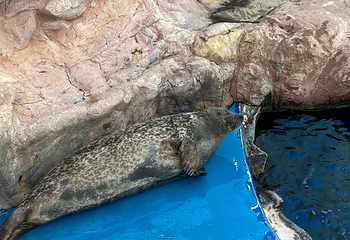 丽水Aqua Planet水族馆第 2 张图片