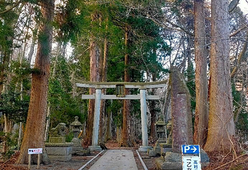 十和田神社第 10 张图片