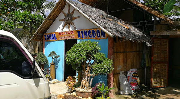 Bohol Birds and Butterfly Kingdom