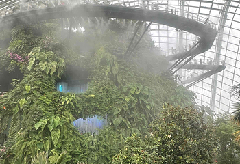 新加坡滨海湾花园第 147 张图片