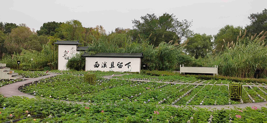 西溪国家湿地公园第 129 张图片