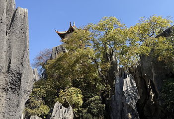 石林风景区第 239 张图片