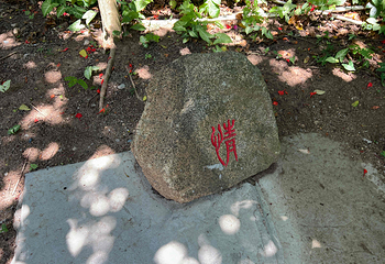 蜈支洲岛第 346 张图片