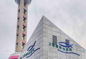 上海海洋水族馆第 72 张图片
