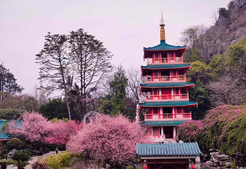 虞山公园第 12 张图片