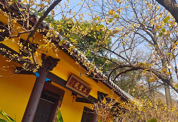 桂林西山景区第 17 张图片