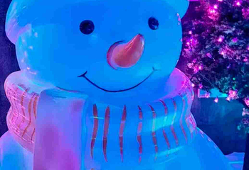 阿尔卑斯雪世界第 373 张图片