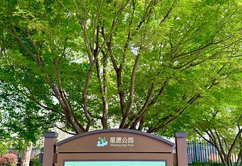星愿公园第 17 张图片