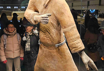 秦始皇帝陵博物院(兵马俑)第 341 张图片