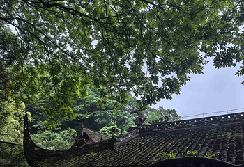 青城山第 158 张图片