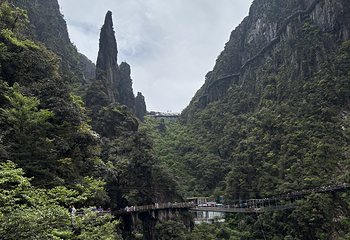 莽山五指峰景区第 108 张图片