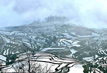 元阳哈尼梯田第 36 张图片