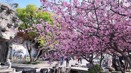 无锡市太湖鼋头渚风景区第 162 张图片