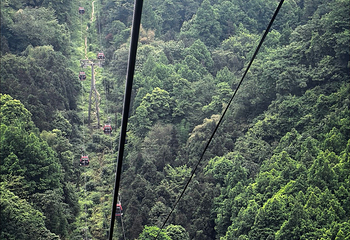 青城山第 221 张图片