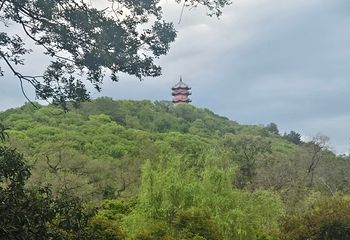 惠山古镇·寄畅园第 178 张图片