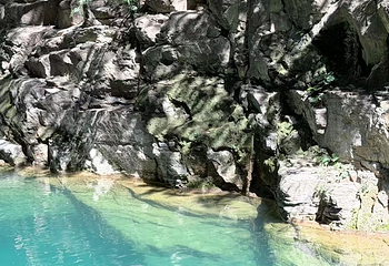 蟒河生态旅游区第 21 张图片