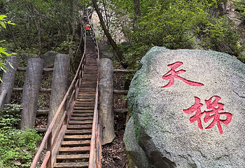 茅兰沟国家森林公园第 38 张图片