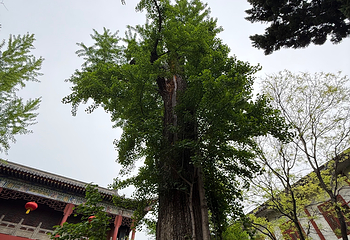 赤壁古战场第 57 张图片