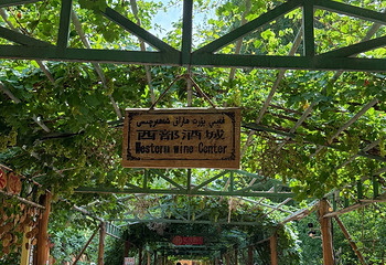 葡萄沟第 62 张图片