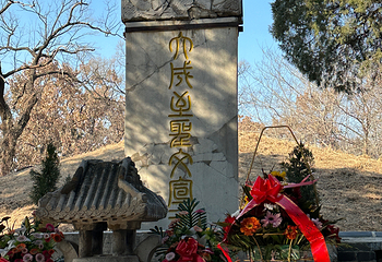 曲阜三孔景区第 172 张图片