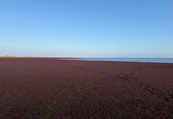红海滩国家风景廊道第 212 张图片