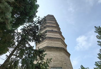 宝塔山第 79 张图片