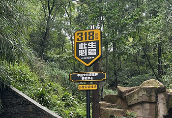 碧峰峡景区第 144 张图片