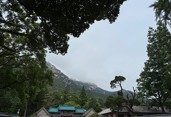 崂山风景区第 207 张图片