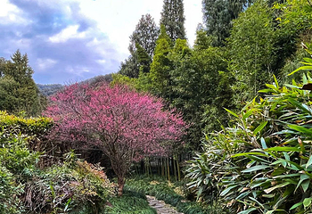 黄公望隐居地第 17 张图片