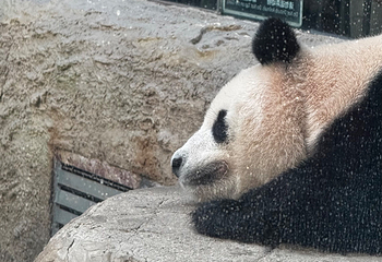 北京动物园第 147 张图片