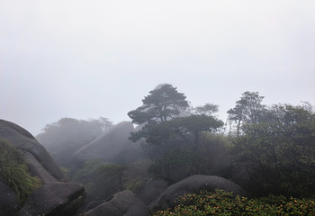灵山风景区第 144 张图片