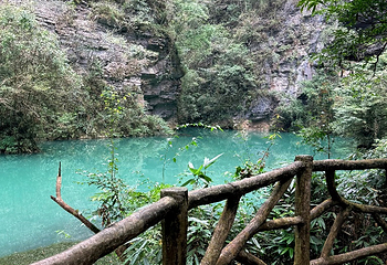 张家界大峡谷第 119 张图片