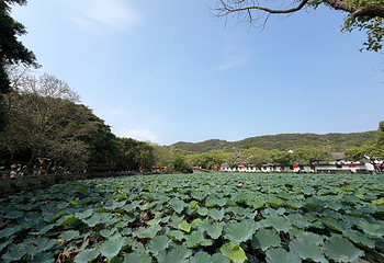 普陀山风景区第 134 张图片