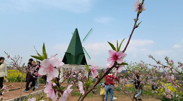 姚渡龙门桃花沟风景区