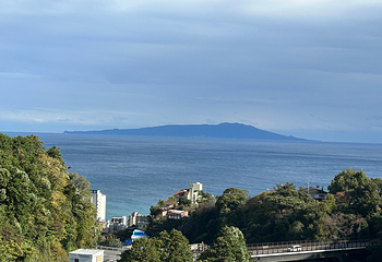 热川香蕉鳄鱼园第 3 张图片