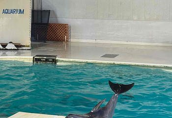 小樽水族馆第 15 张图片