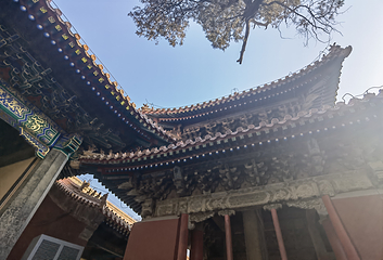 曲阜三孔景区第 226 张图片