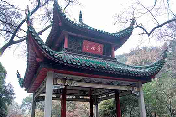 岳麓山第 20 张图片