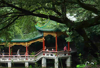 鹅岭公园第 104 张图片