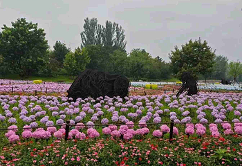 北京世园国际旅游度假区第 106 张图片