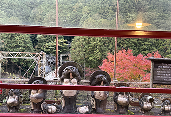 岚山嵯峨野观光小火车第 25 张图片