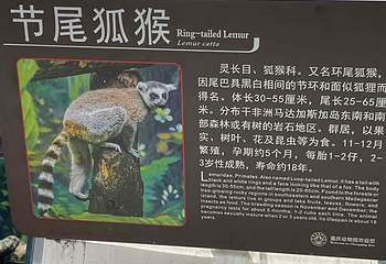 重庆动物园第 184 张图片