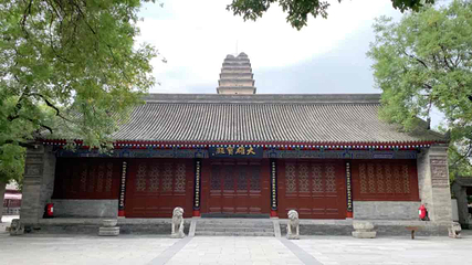 小雁塔遗址公园第 82 张图片