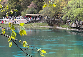 九寨沟风景区第 409 张图片