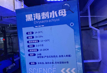 上海海昌海洋公园第 492 张图片